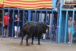 Burriana vibra con el encierro de toros embolados