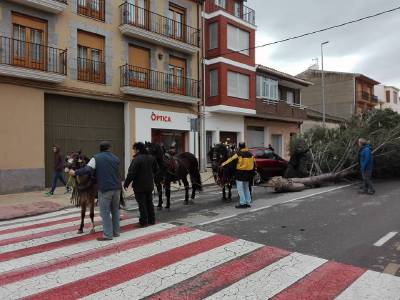Atzeneta celebra Sant Antoni
