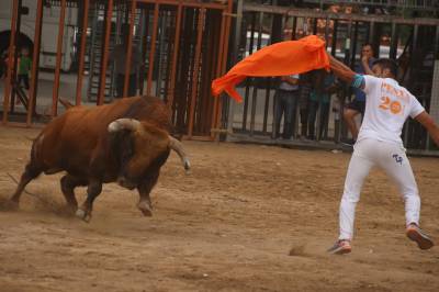 Les Alqueries Lidia los dos primeros toros cerriles de las fiestas