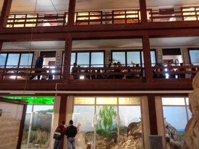 Museo de Ciencias Naturales el Carmen de Onda