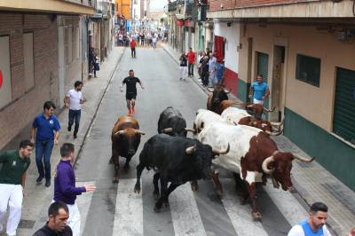 Un encierro sin incidentes abre el cartel taurino del Roser en Almassora