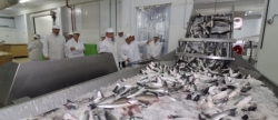 moragues-destaca-la-excelencia-de-la-industria-alimentaria-valenciana-galardonada-por-el-gobierno-con-los-premios-alimentos-de-espana