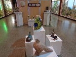 El museo de Ciencias Naturales el Carmen de Onda ha organizado una nueva edición de Ceranimalia 