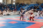 Medallas del CD Granjo de Alcora y el Virgilio de Burriana en el Open Internacional de Taekwondo de Ribarroja