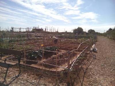 Nules farà una nova adjudicació dels horts urbans