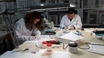 El Museu Arqueològic finaliza un éxitoso curso de restauración sobre material metálico