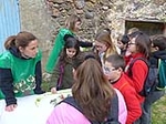 El taller de empleo de la Mancomunidad Espadán Mijares celebra el Día del Árbol