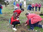 El taller de empleo de la Mancomunidad Espadán Mijares celebra el Día del Árbol