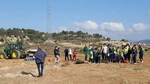 Escolares de Segorbe plantan 350 árboles para celebrar el Día del Árbol