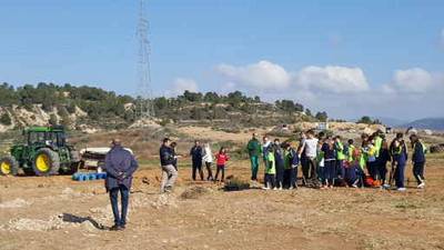 Escolares de Segorbe plantan 350 árboles para celebrar el Día del Árbol