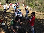 Els alumnes del CEIP Castro d?Alfondeguilla planten sureres en la Serra d?Espadà