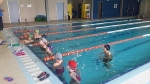 El CEIP Don Blasco de Alagón s'implanta el programa de natació escolar