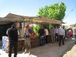 El Mas de la Vila celebra la romeria de l?ermita de Sant Josep