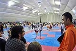 ?xito de La selección provincial en el Open de Taekwondo Marina d?Or