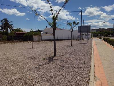 La UJI convierte en un jardín la zona de entrada al campus junto al grupo Roser