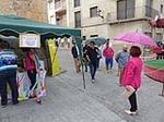 Brillante Día de la Mancomunidad Espadán Mijares, pese a algo de lluvia