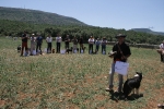 Julio Bayot vence en el Concurso de perros pastores de Ares con la perra Xispa