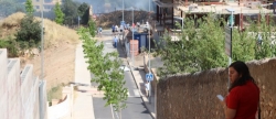 parcelas-sucias-y-descuidadas-provocan-incendios-en-urbanizaciones-alcorinas