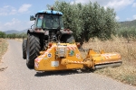 Vall d?Alba limpia una quincena de caminos rurales