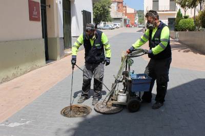 Vall d’Alba une la lucha contra las cucarachas y ratones a la campaña de erradicación del mosquito tigre en el municipio