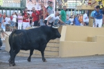 Encierro rápido y sin incidentes en Les Penyes en Festes