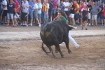 Encierro rápido y sin incidentes en Les Penyes en Festes