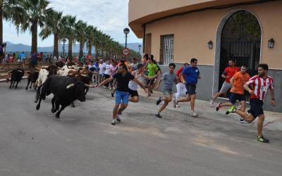 Los aficionados de la provincia disfrutaran el domingo en Vall d’Alba de un emocionante encierro de seis toros cerriles