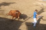 Una de cal y otra de arena, para iniciar las exhibiciones taurinas