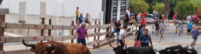 Vall d’Alba despide sus fiestas patronales con un gran éxito de participación popular