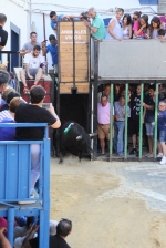 Setmana taurina a La Llosa