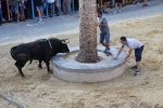 Setmana taurina a La Llosa