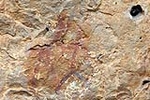 Es restauren les pintures rupestres de la Cova del Roure de Morella la Vella