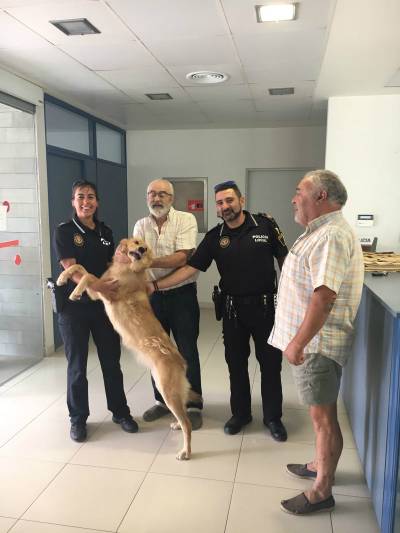 Almenara firma un convenio con la protectora SOS Sangunto