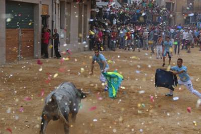 Betxí encara la recta final de festes i gaudeix de les últimes exhibicions taurines