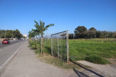 El Ministerio de Hacienda rechaza anular la subasta de 16.600 metros cuadrados de L'Arenal