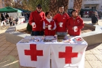 El día de la banderita y otras admirables iniciativas de Cruz Roja de l'Alcora