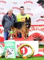 El criadero de perros pastor alemán Jibor-Can de los mejores del mundo