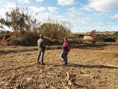 Infraestructures neteja els solars municipals i les zones verdes a Cabanes i La Ribera