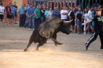 Les Alqueries viu la seua primera jornada taurina