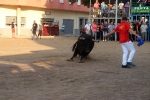 Les Alqueries viu la seua primera jornada taurina