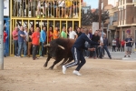 Ambient festiu a la plaça de bous