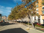 El Ayuntamiento de la Vall d?Uixó sustituye cinco árboles del parque del Polígono III por peligro de caída 