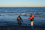 Una excepcional concentració de peixos a la desembocadura del Millars reuneix a desenes de pescadors de canya