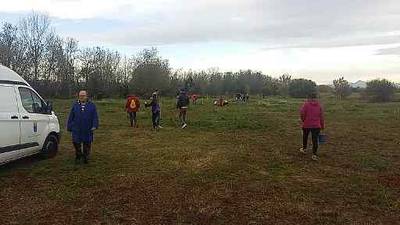 Borriana finaliza la plantación de hasta 200 olmos resistentes a la grafiosis en el Clot de la Mare de Déu