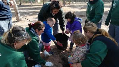 Dia de l'Arbre a La Llosa