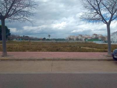 El Grupo Socialista de Alcalà de Xivert y Alcossebre pide que se haga realidad el proyecto de huertos urbanos