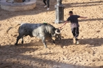 Gran participació en la primera jornada taurina de La Llosa