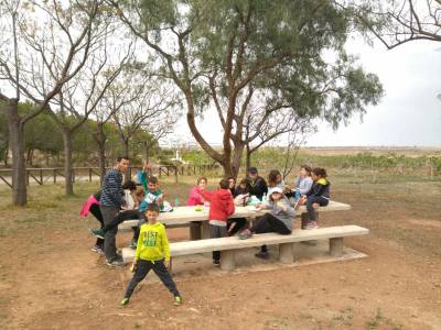 Almenara celebra el Día del Árbol con la plantación de más de 200 pinos en Els Estanys