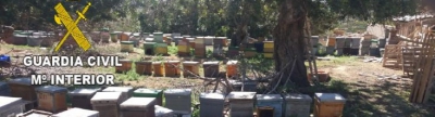 La Guardia Civil detiene a una persona por más de 25 robos y hurtos de colmenas en el Baix Maestrat
