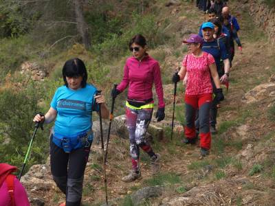 Cien personas en la XV ruta senderista de la Mancomunidad Espadán Mijares